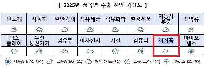‘25년 화장품 지역별 수출 전망... 아세안·인도·중동·아프리카 10% 이상↑